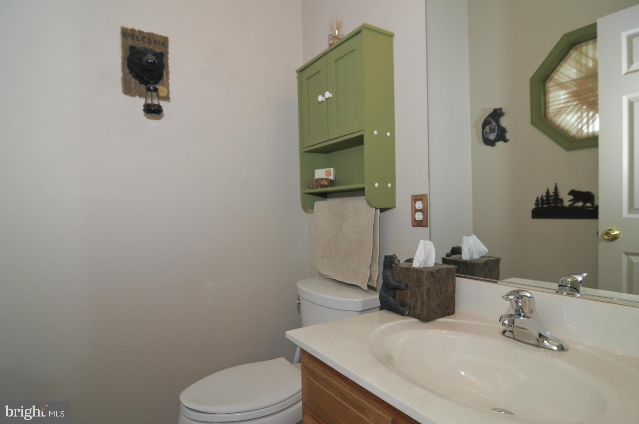 299 Conowingo Road Conowingo, MD 21918 - Photo 11 of 18 Full Bath