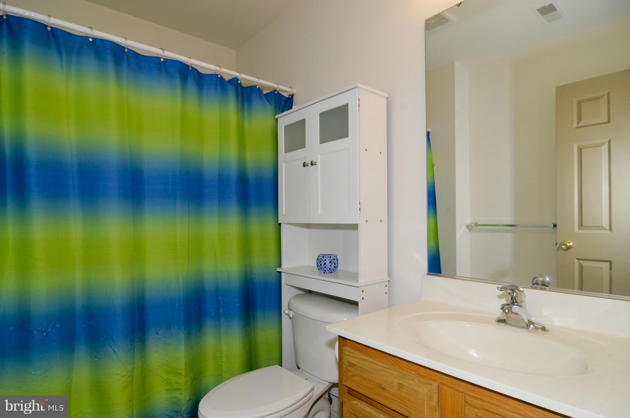 299 Conowingo Road Conowingo, MD 21918 - Photo 13 of 18 Full Bath