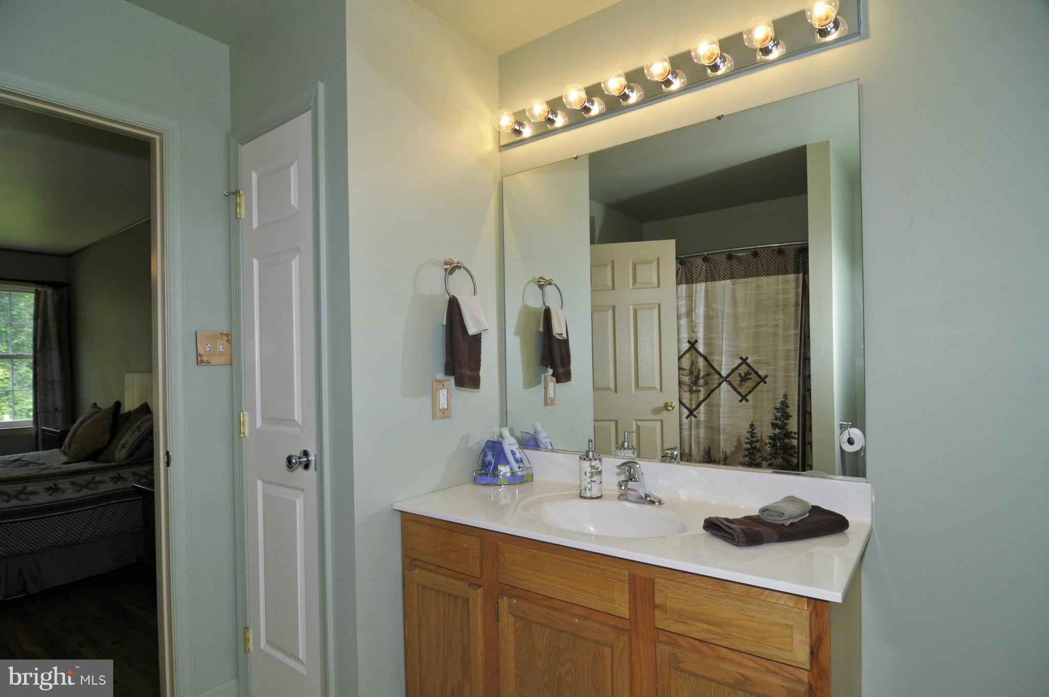 299 Conowingo Road Conowingo, MD 21918 - Photo 9 of 18 Bath (Master)