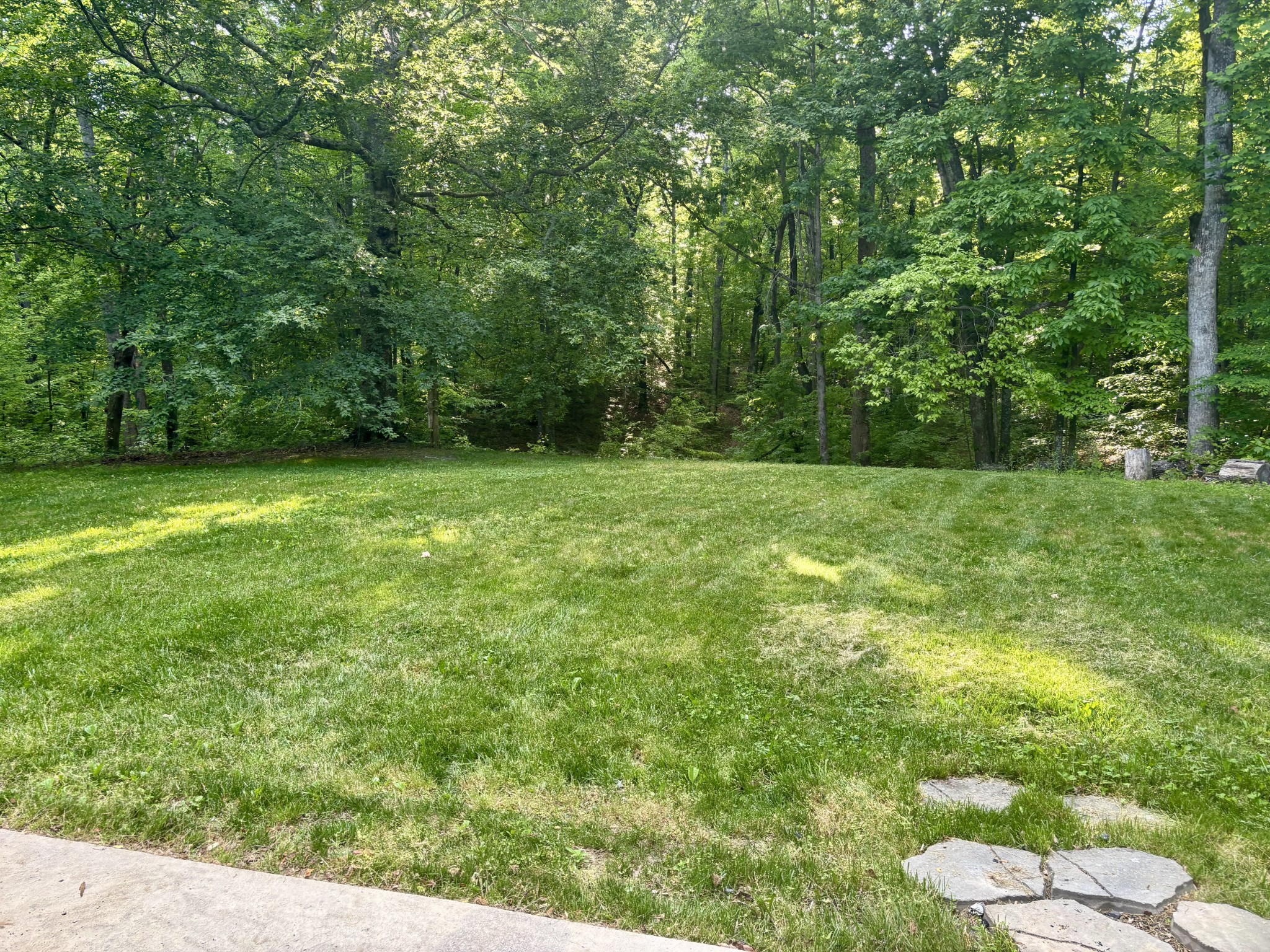 65 Sheltontown Road Manchester, TN 37355 - Photo 6 of 17 a view of outdoor space and yard