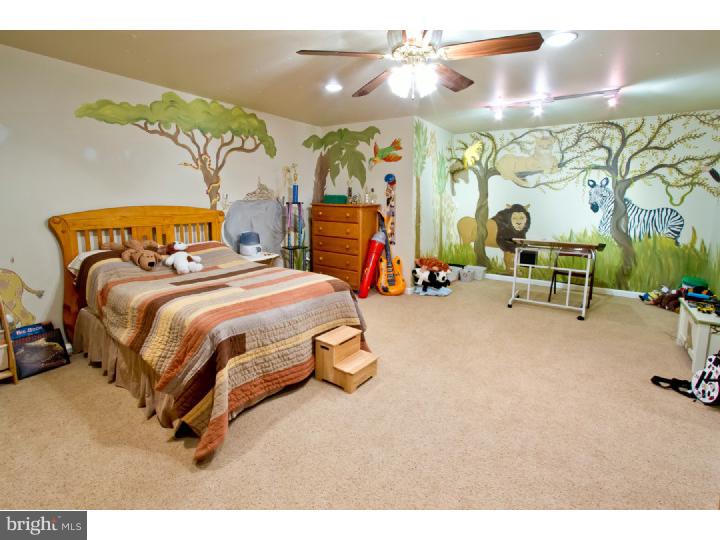 495 Arneys Mount Road Pemberton, NJ 08068 - Photo 17 of 25 Bedroom 3