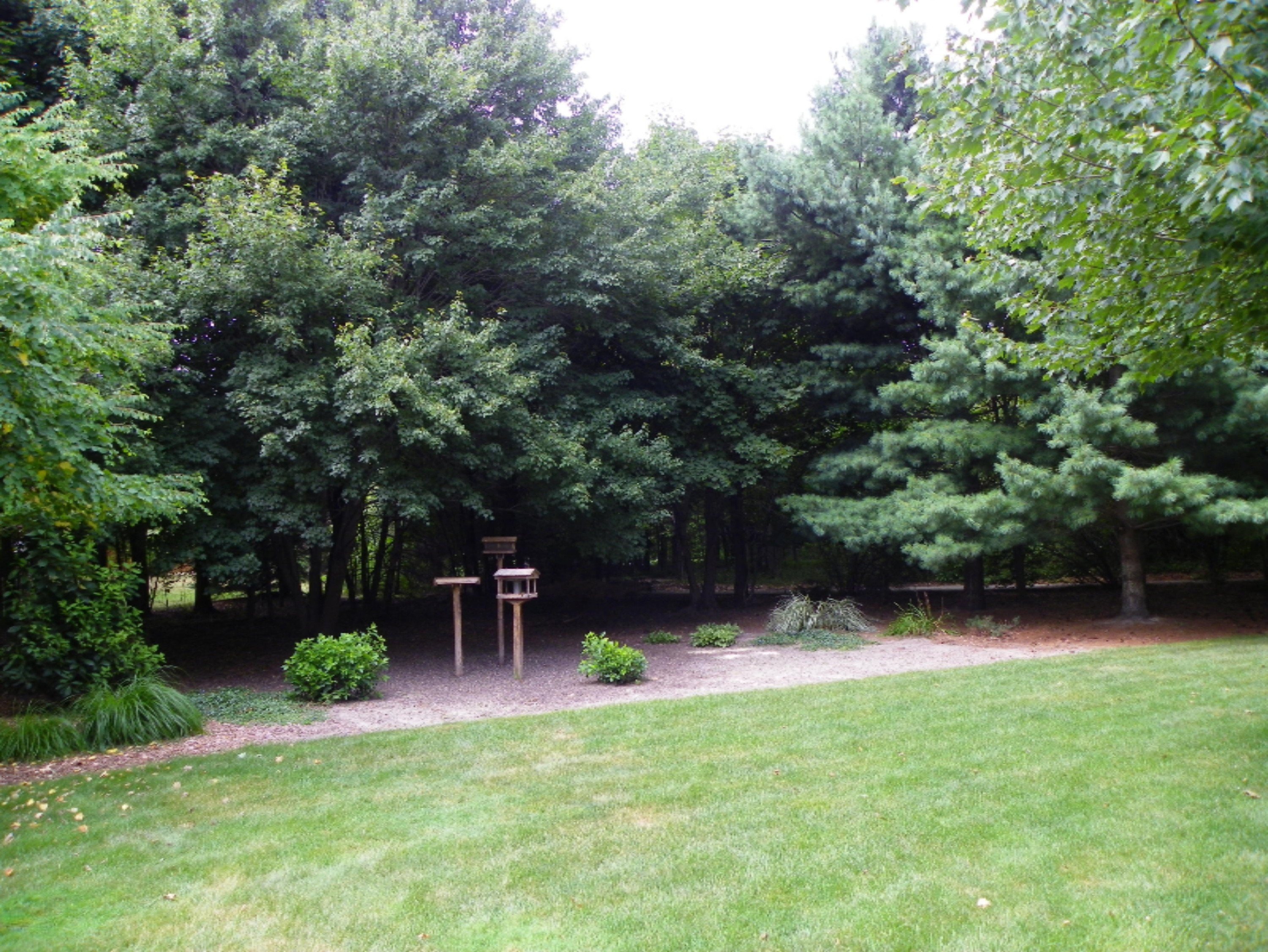 2833 Linco Road Stevensville, MI 49127 - Photo 55 of 66 023
