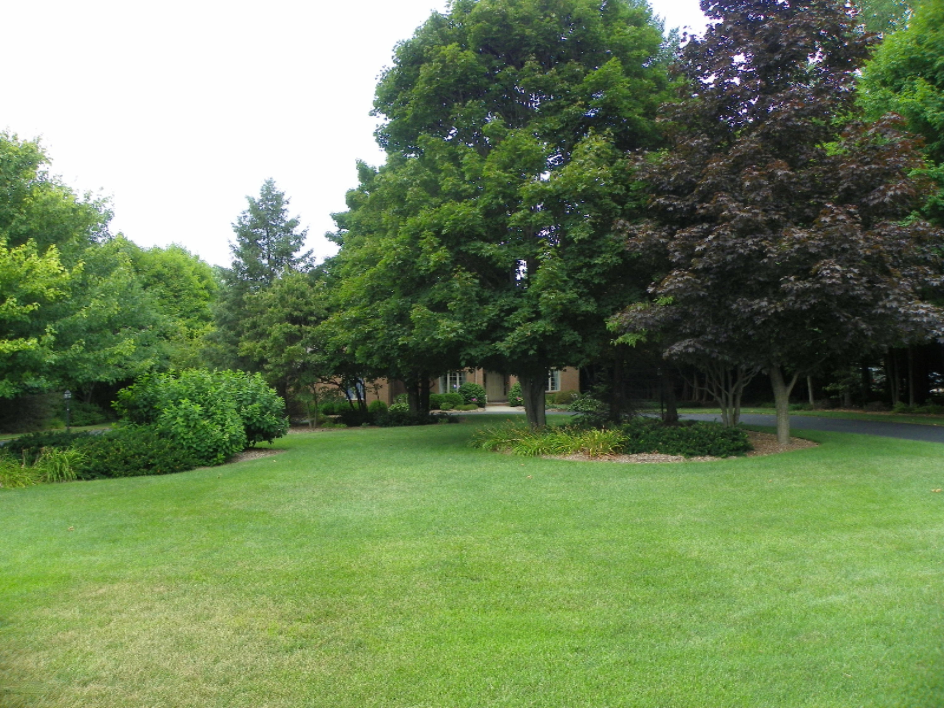 2833 Linco Road Stevensville, MI 49127 - Photo 65 of 66 044