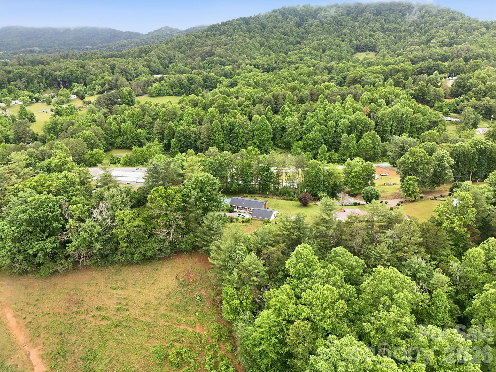 22 Webb Hill Road Leicester, NC 28748 - Photo 44 of 46