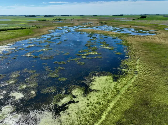 $132,270 | Tbd Tbd 60th Street, Blue Earth, MN 56013