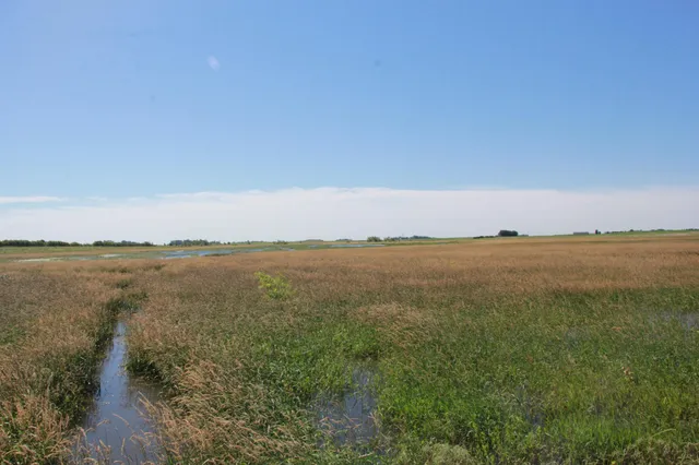 $132,270 | Tbd Tbd 60th Street, Blue Earth, MN 56013