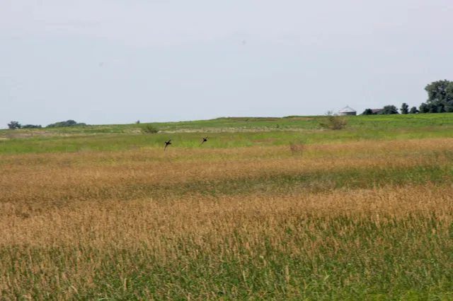 $132,270 | Tbd Tbd 60th Street, Blue Earth, MN 56013