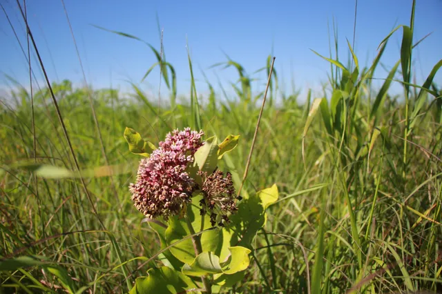 $132,270 | Tbd Tbd 60th Street, Blue Earth, MN 56013