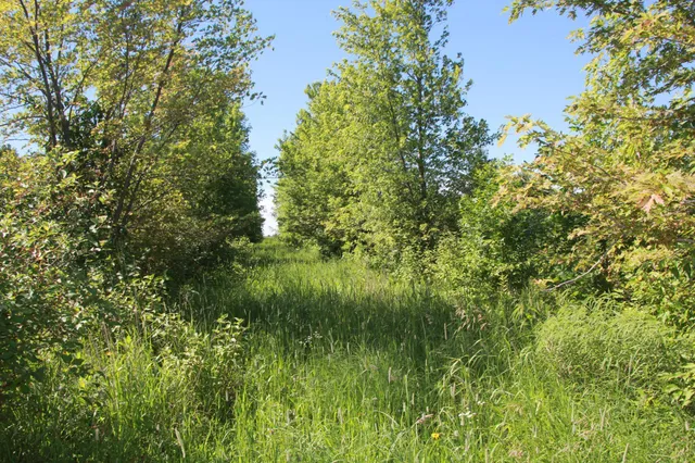 $132,270 | Tbd Tbd 60th Street, Blue Earth, MN 56013