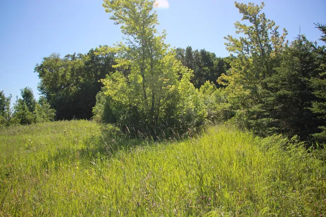 $132,270 | Tbd Tbd 60th Street, Blue Earth, MN 56013