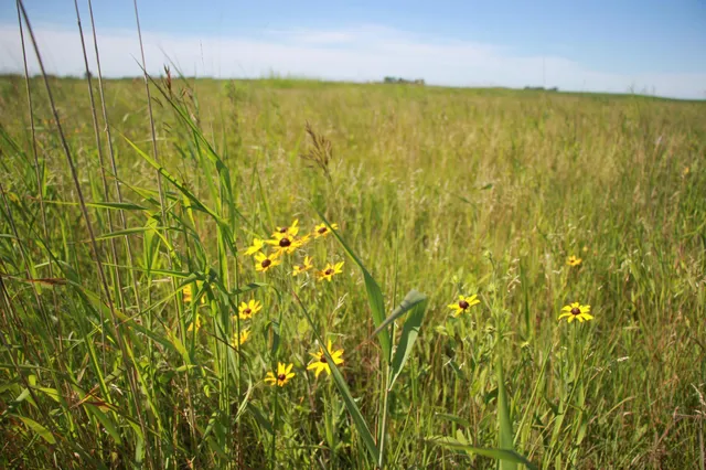 $132,270 | Tbd Tbd 60th Street, Blue Earth, MN 56013