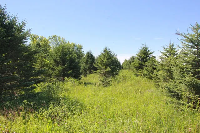 $132,270 | Tbd Tbd 60th Street, Blue Earth, MN 56013