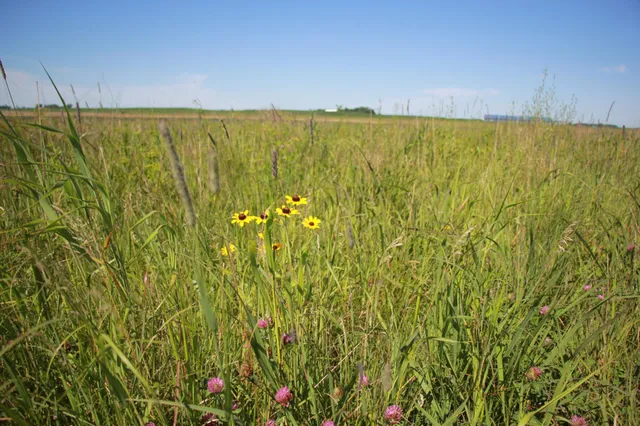 $132,270 | Tbd Tbd 60th Street, Blue Earth, MN 56013