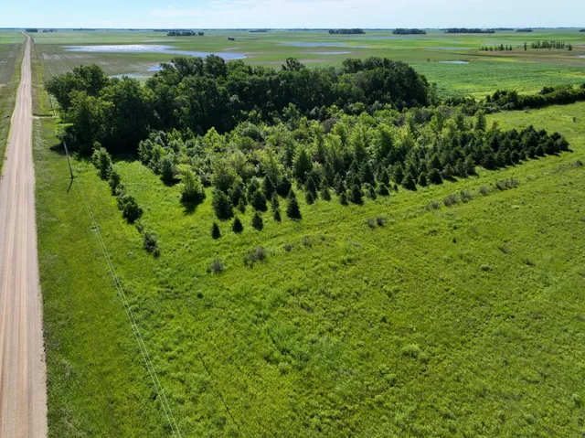 $132,270 | Tbd Tbd 60th Street, Blue Earth, MN 56013