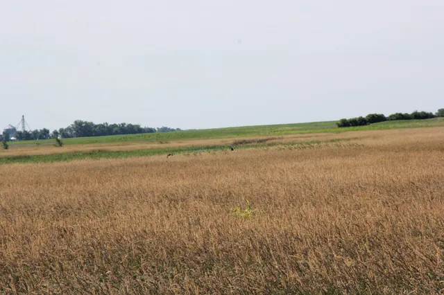 $132,270 | Tbd Tbd 60th Street, Blue Earth, MN 56013