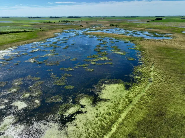 $132,270 | Tbd Tbd 60th Street, Blue Earth, MN 56013