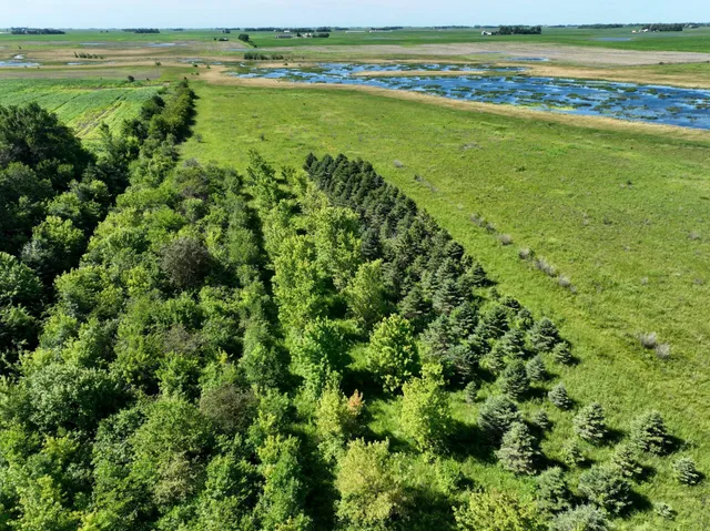 $132,270 | Tbd Tbd 60th Street, Blue Earth, MN 56013