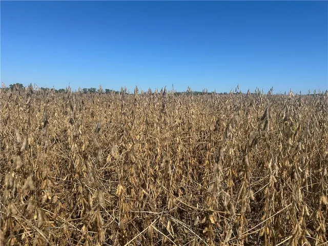 $495,535 | 2 85th Highway, Albany, MO 64402