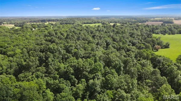$364,500 | 0 County Road 442, Jackson, MO 63755