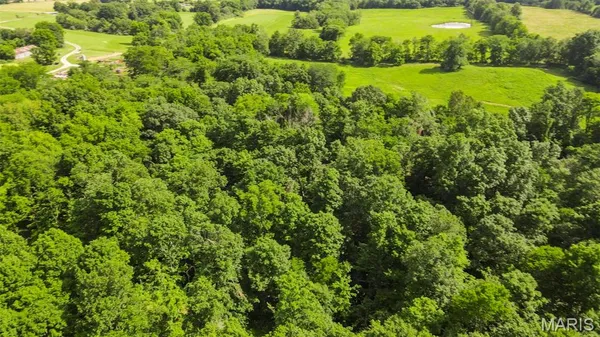 $364,500 | 0 County Road 442, Jackson, MO 63755