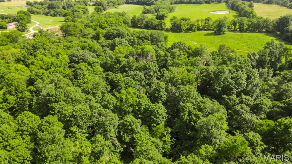 0 County Road 442 Jackson, MO 63755 - Photo 13 of 14