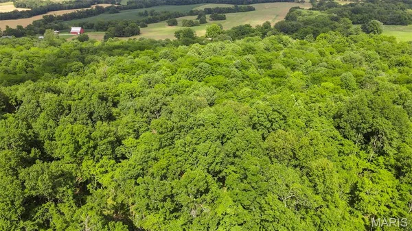 $364,500 | 0 County Road 442, Jackson, MO 63755
