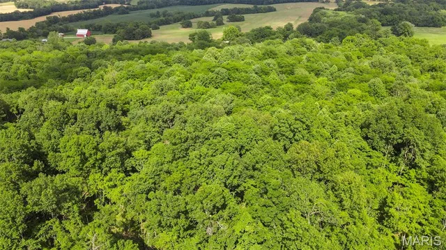 $632,060 | 0 County Road 442, Jackson, MO 63755