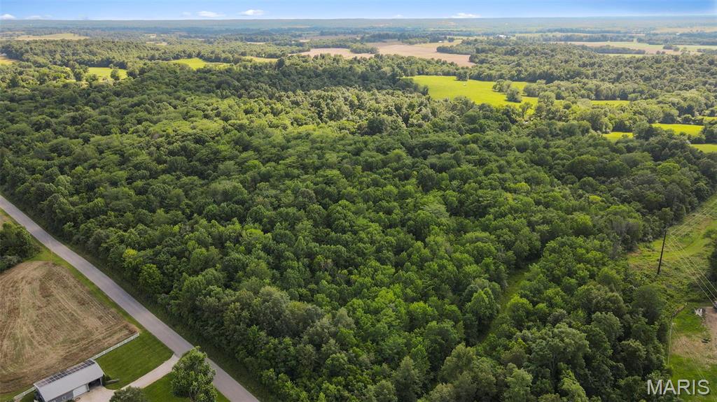 0 County Road 442 Jackson, MO 63755 - Photo 2 of 14