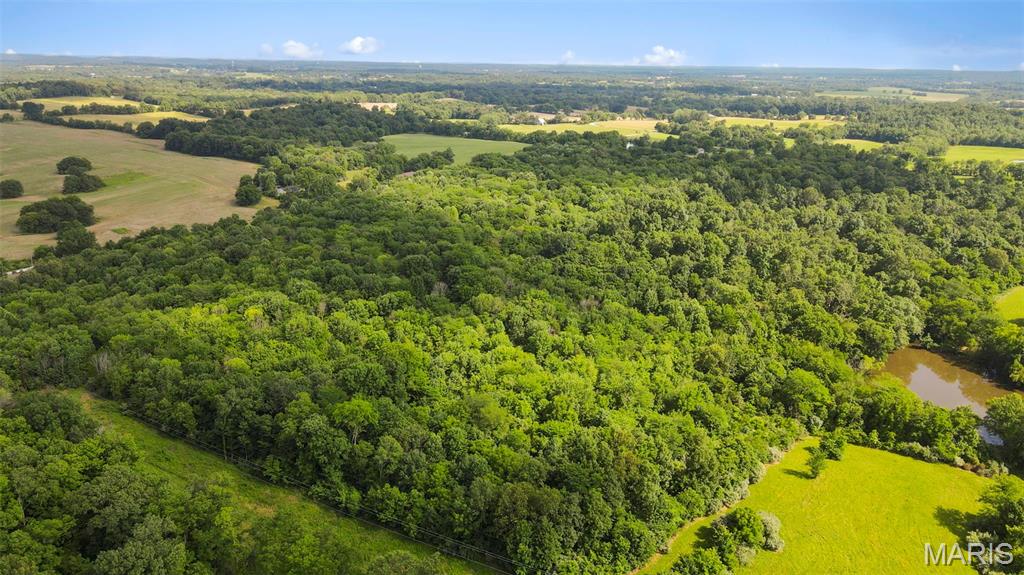 0 County Road 442 Jackson, MO 63755 - Photo 4 of 14