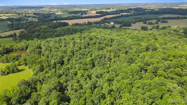 $364,500 | 0 County Road 442, Jackson, MO 63755