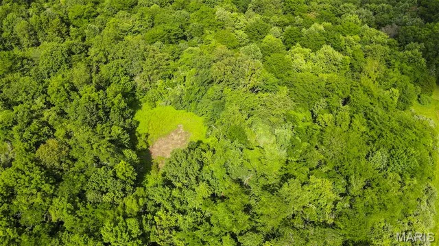 $632,060 | 0 County Road 442, Jackson, MO 63755