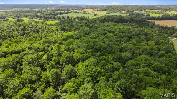 $364,500 | 0 County Road 442, Jackson, MO 63755