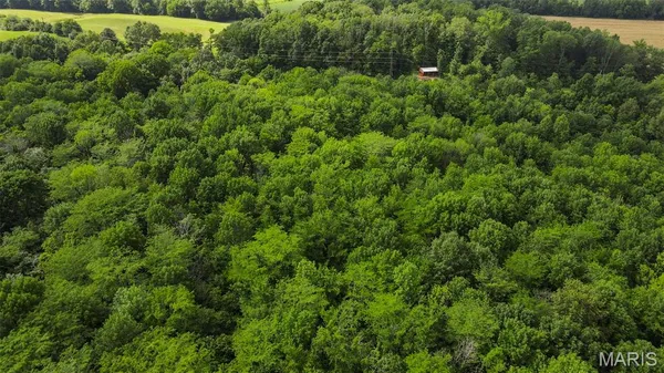 $364,500 | 0 County Road 442, Jackson, MO 63755