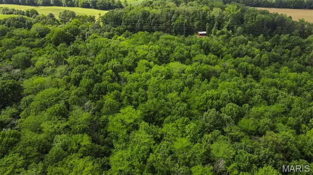 $632,060 | 0 County Road 442, Jackson, MO 63755