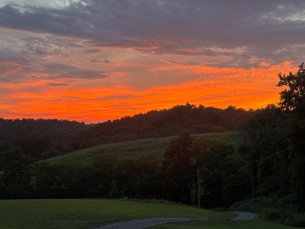 a view of a yard and mountain