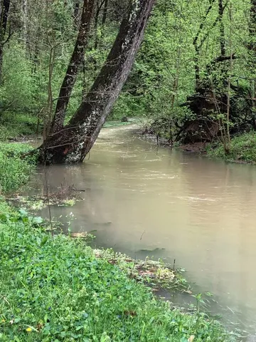 a view of outdoor space yard and patio
