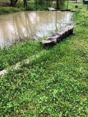 a view of a grassy field with mountains in the background