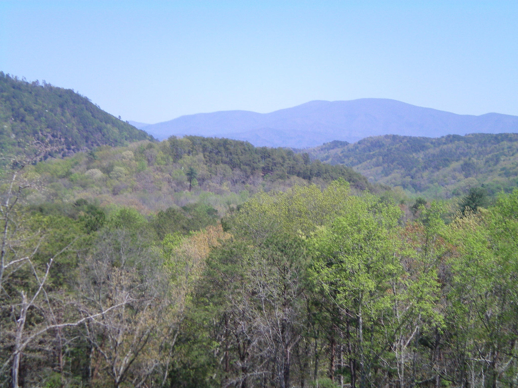 137 McSpadden Road Vonore, TN 37885 - Photo 2 of 29 103_0041