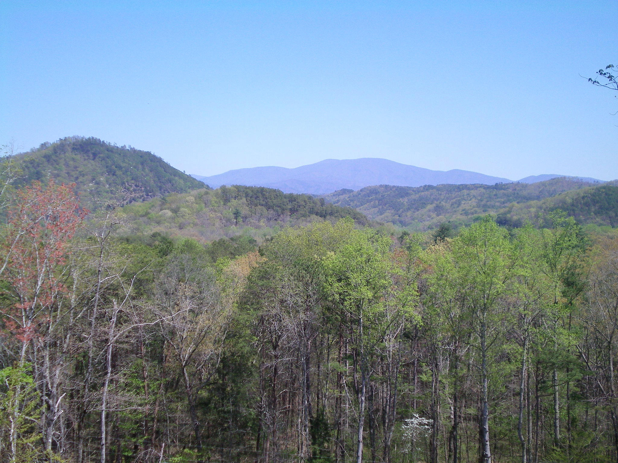 137 McSpadden Road Vonore, TN 37885 - Photo 4 of 29 103_0040