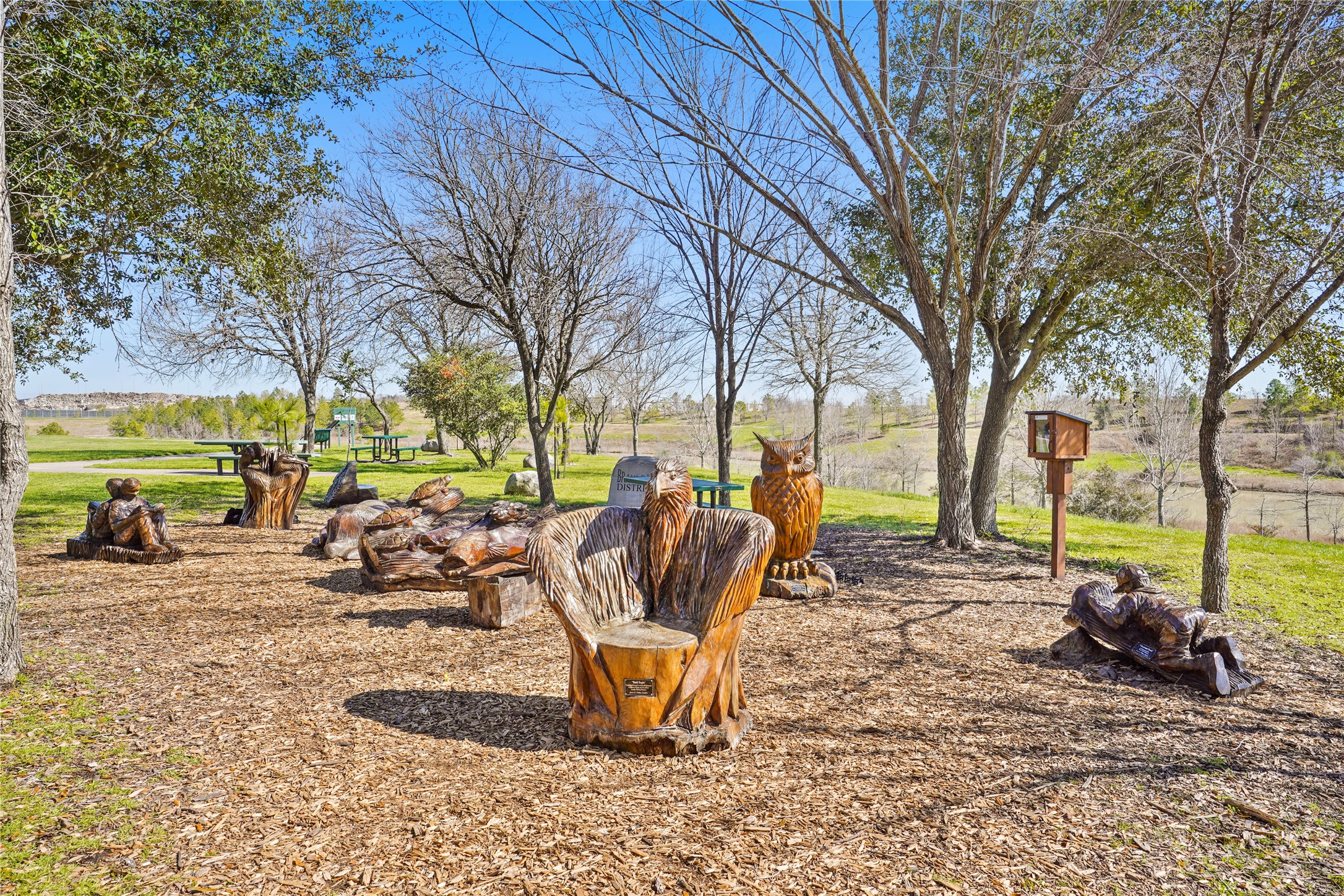 4813 Hummingbird Street Houston, TX 77035 - Photo 42 of 50 a view of a backyard with a patio
