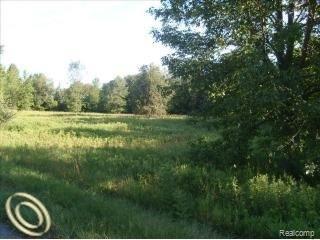 0 North Lakeshore Road Port Hope, MI 48468 - Photo 2 of 3 photo1.jpg