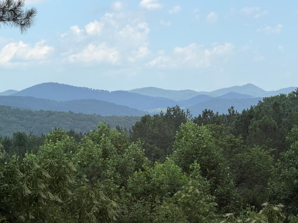 603 Red Berry Ridge Road Blue Ridge, GA 30513 - Photo 40 of 96 Gallery Image 40