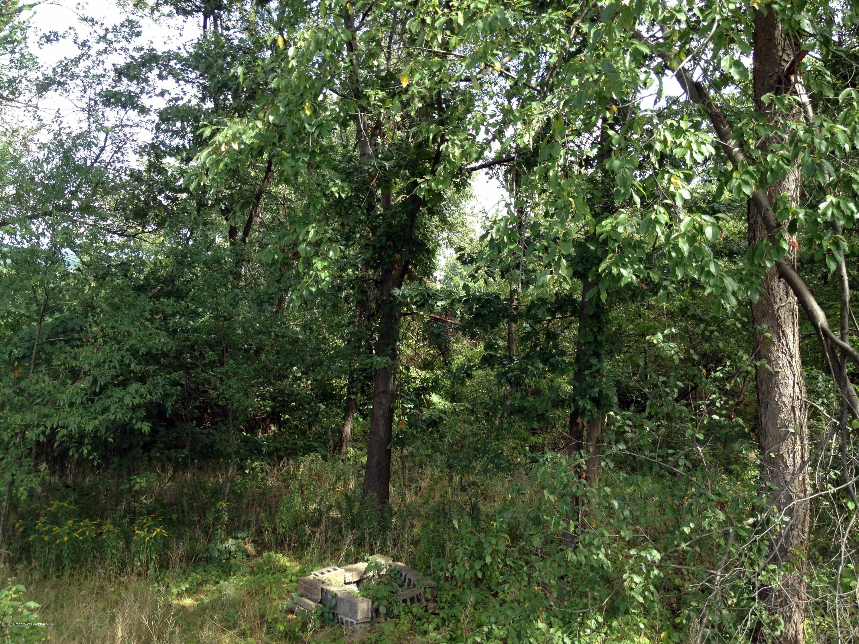 125 Corcoran Street Old Forge, PA 18518 - Photo 30 of 36 a view of a lake with a tree