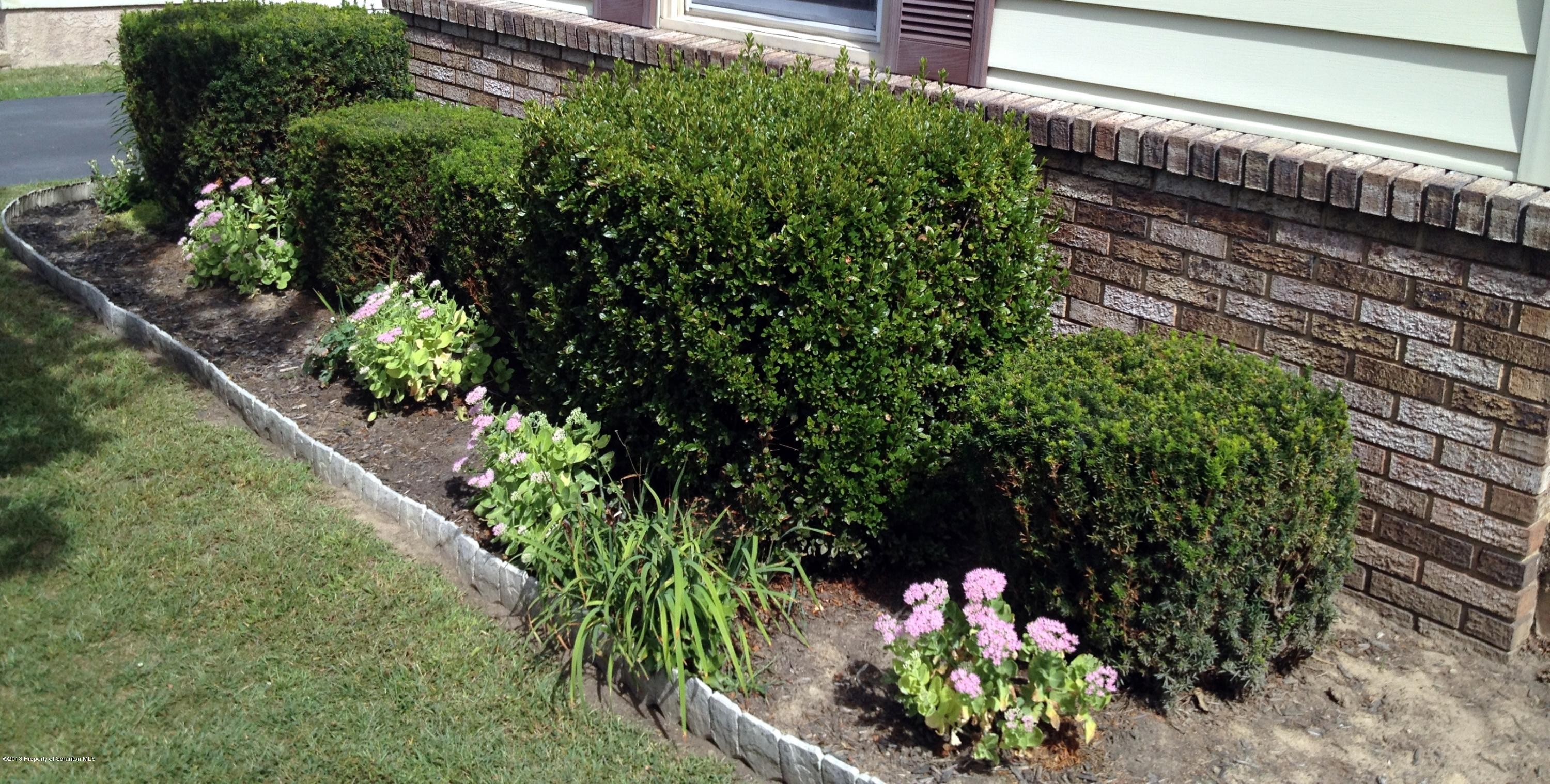 125 Corcoran Street Old Forge, PA 18518 - Photo 33 of 36 a flower garden with lots of green space