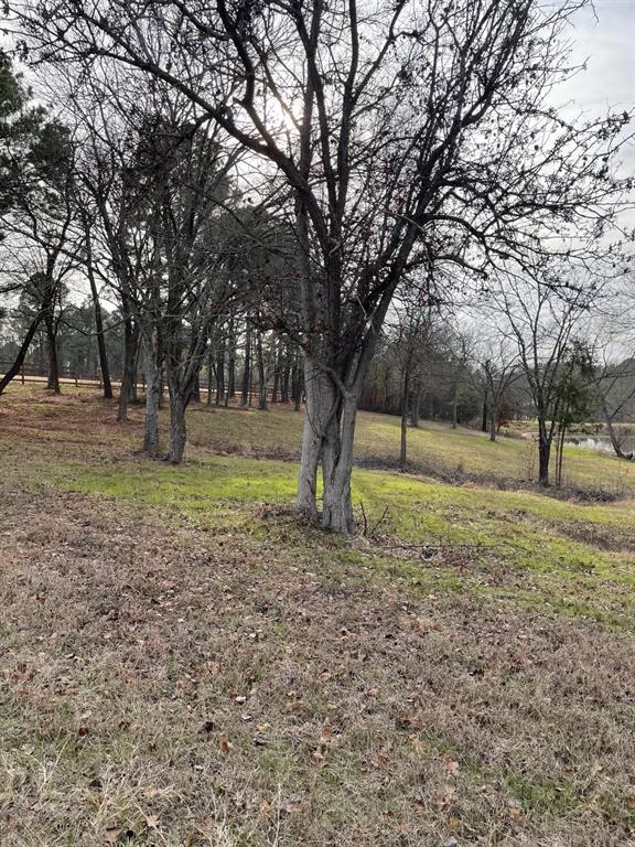 5455 Saddle Ridge Court Athens, TX 75752 - Photo 17 of 25 View of yard