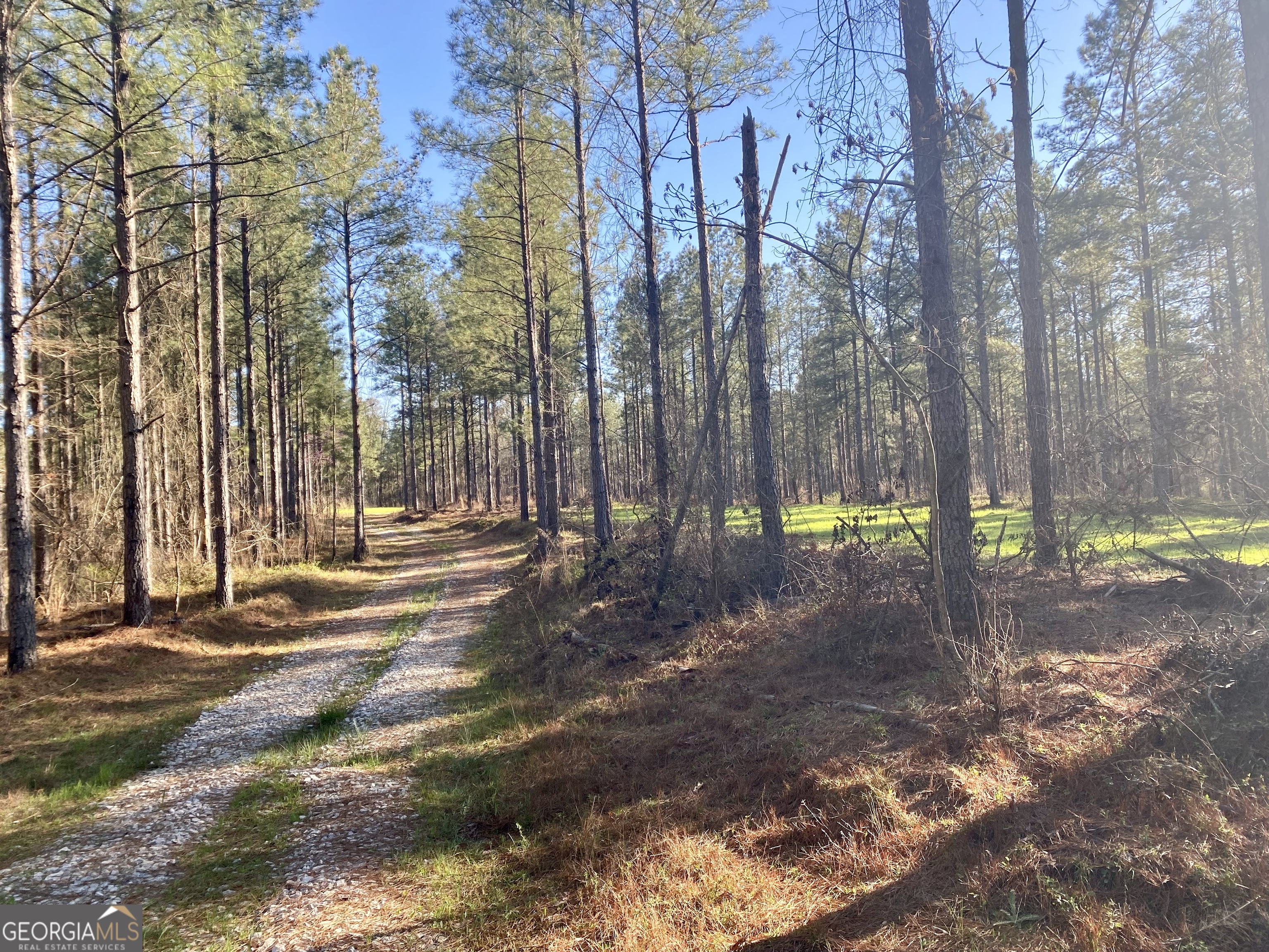 3312 Hunts Chapel Road Sparta, GA 31087 - Photo 26 of 81