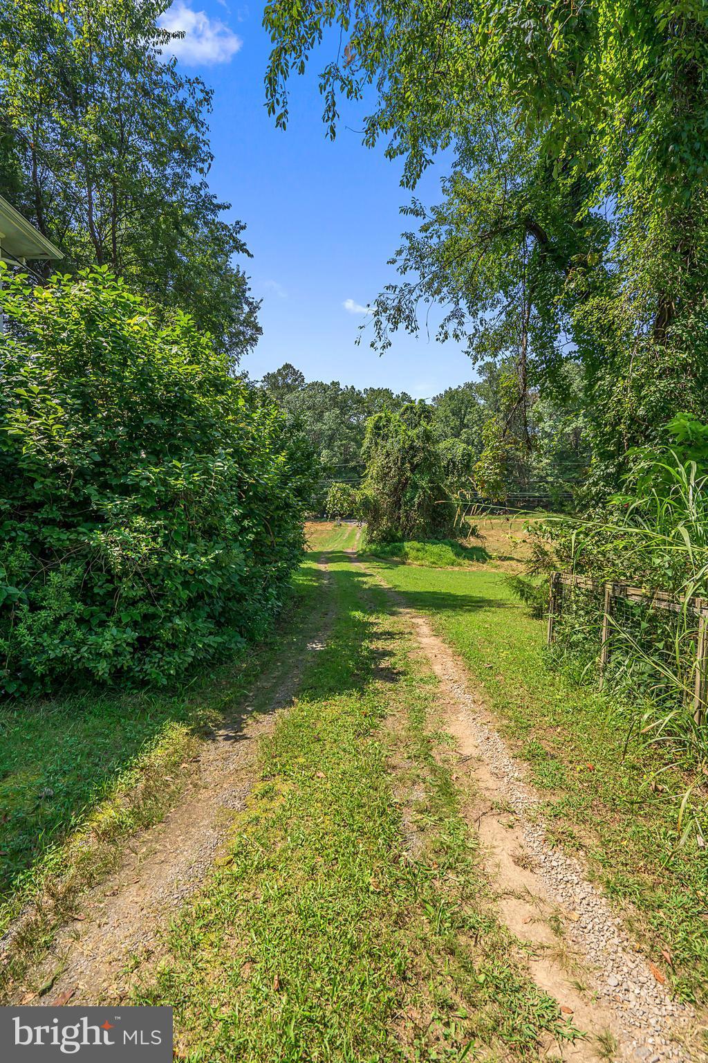 511 Utterback Store Road Great Falls, VA 22066 - Photo 12 of 29 Exterior (General)