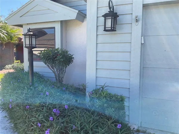 a potted plant sitting in front of a house