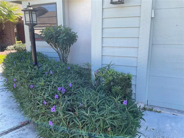 a view of a potted plant in front of a house
