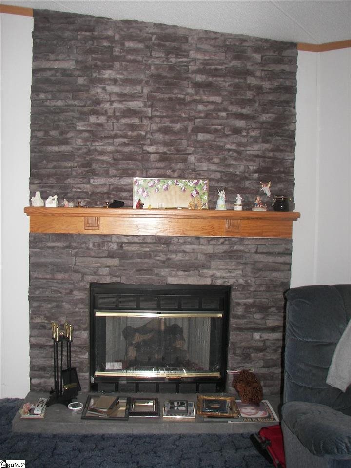 145 Autumnvale Drive Inman, SC 29349 - Photo 2 of 16 Gallery Image 2